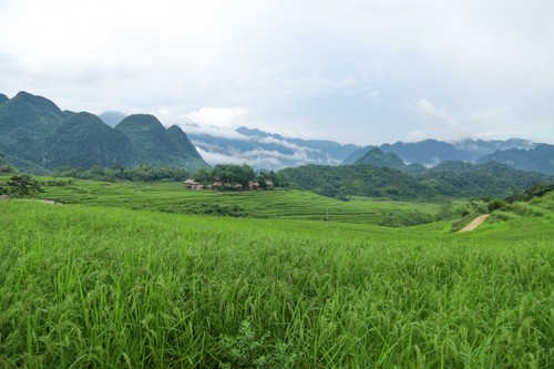 Pù Luông và những cung đường chạy tuyệt đẹp - ảnh 1