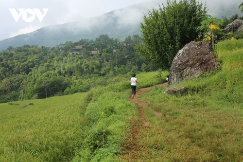 Pù Luông và những cung đường chạy tuyệt đẹp - ảnh 4