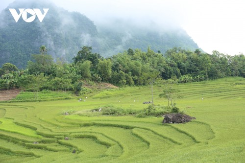 Pù Luông và những cung đường chạy tuyệt đẹp - ảnh 5