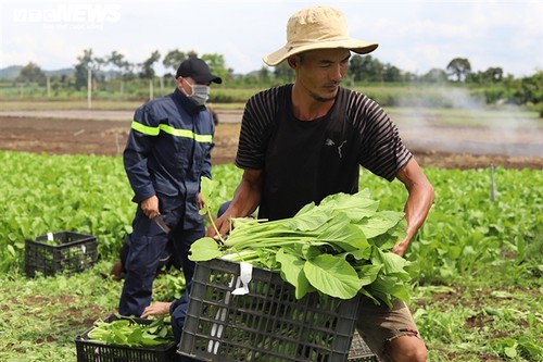 Tình người trong đại dịch ở Thành phố Hồ Chí Minh - ảnh 8