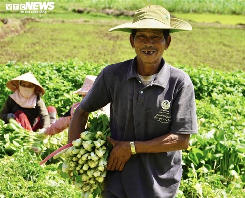 Tình người trong đại dịch ở Thành phố Hồ Chí Minh - ảnh 2