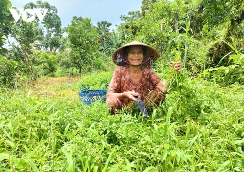 Có một hành trình “Kết nối yêu thương” trong đại dịch Covid-19 tại Cần Thơ - ảnh 6