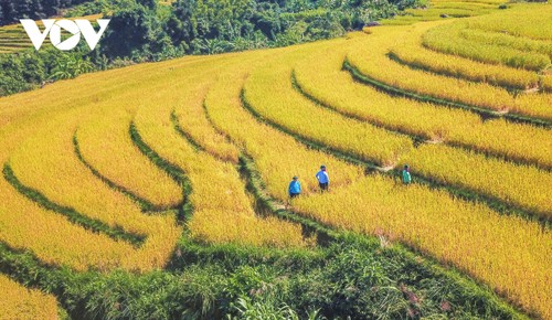 Bình Liêu mùa đông - điểm đến ấn tượng cho du khách - ảnh 2