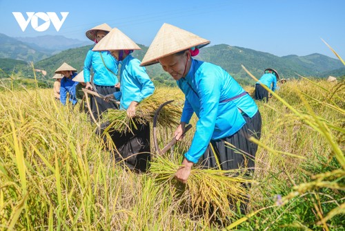 Bình Liêu mùa đông - điểm đến ấn tượng cho du khách - ảnh 4