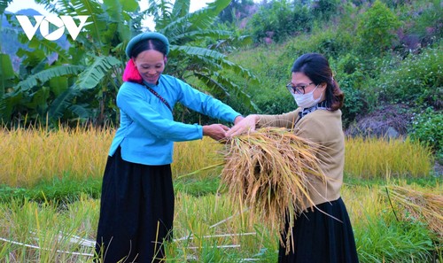 Bình Liêu mùa đông - điểm đến ấn tượng cho du khách - ảnh 5