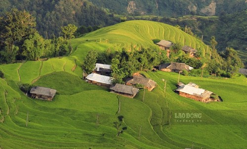 Vẻ đẹp ruộng bậc thang bản Phùng ở Hà Giang - ảnh 6