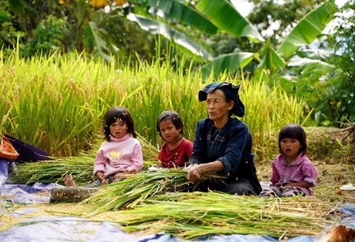 Vẻ đẹp ruộng bậc thang bản Phùng ở Hà Giang - ảnh 11