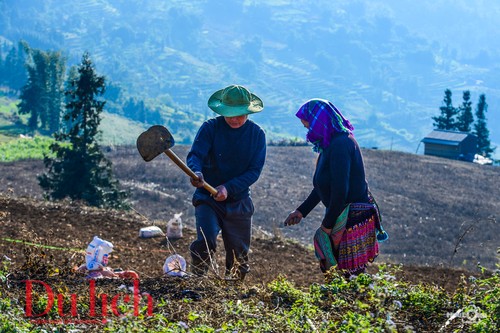 Vẻ đẹp thảo nguyên Suôi Thầu, Hà Giang - ảnh 13