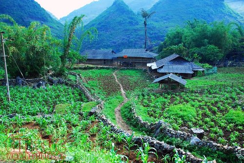 Vẻ đẹp huyện Tủa Chùa, Điện Biên - ảnh 4