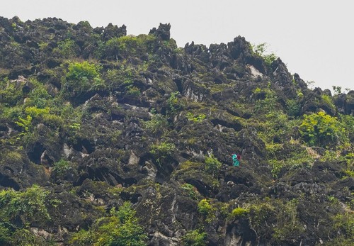 Vẻ đẹp Cao nguyên đá Đồng Văn, Hà Giang - ảnh 8