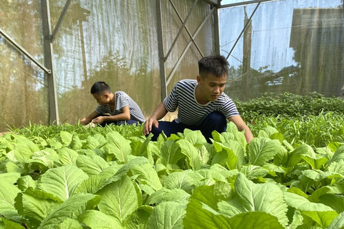 Người lính canh biển Tây Nam vui xuân đón Tết, sẵn sàng chiến đấu cao - ảnh 1