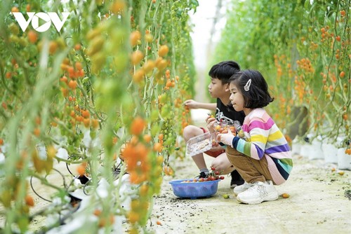 Tinh khôi nông nghiệp-nông sản Măng Đen - ảnh 6