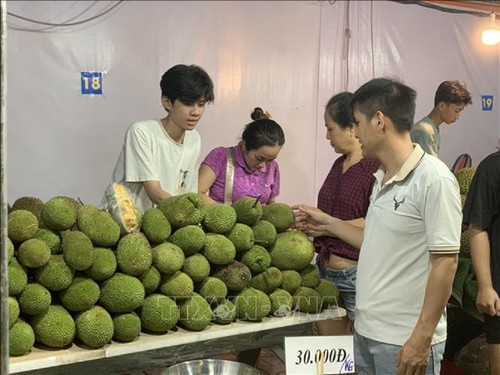 Lễ hội mùa trái chín "Lái Thiêu mùa hẹn", nơi hội tụ nhiều loại trái cây miền Nam - ảnh 5