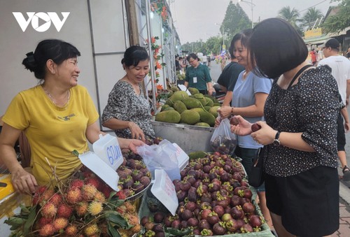 Lễ hội mùa trái chín "Lái Thiêu mùa hẹn", nơi hội tụ nhiều loại trái cây miền Nam - ảnh 4