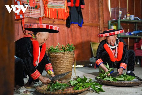 Người Dao đỏ băng rừng tìm đường phát triển kinh tế qua những bài thuốc quý - ảnh 8