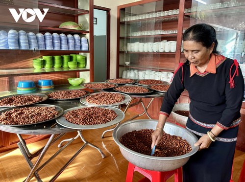 "Hũ muối yêu thương" của bà con dân tộc thiểu số Đắk Lắk gửi tới miền Bắc - ảnh 3