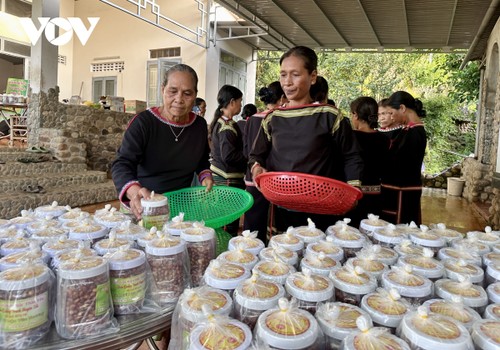 "Hũ muối yêu thương" của bà con dân tộc thiểu số Đắk Lắk gửi tới miền Bắc - ảnh 7