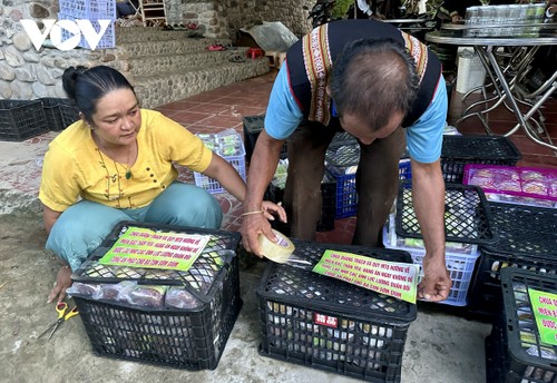 "Hũ muối yêu thương" của bà con dân tộc thiểu số Đắk Lắk gửi tới miền Bắc - ảnh 9