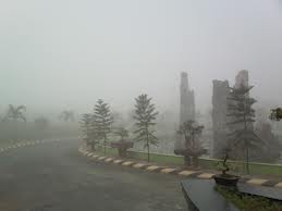 ベトナムの春、夏、秋、冬の風景を描いた歌 - ảnh 4