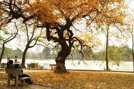 ハノイの秋 - ảnh 2