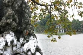 ハノイの秋 - ảnh 1