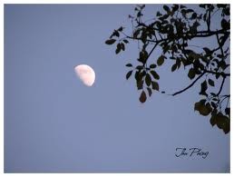 ベトナムの風景を描いた歌 - ảnh 1