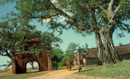 作曲家グエン・ビン・ティエンの歌 - ảnh 1