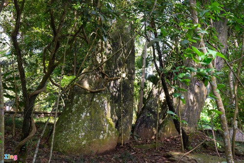 K9・ホーチミン主席にかかわる特別な遺跡 - ảnh 2