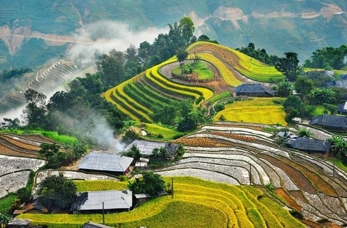 リスナーと共におしゃべりタイム (11月19日) - ảnh 3