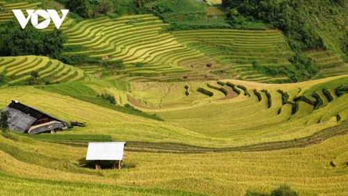 「ベトナムについて何を知っていますか」（ 2） - ảnh 1