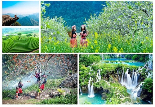 ワールド・トラベル・アワード2022に輝くベトナム - ảnh 15