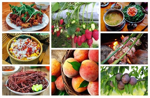 ワールド・トラベル・アワード2022に輝くベトナム - ảnh 16