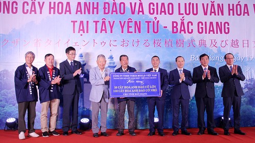 バクザン省でベトナム・日本文化交流会が行われる - ảnh 1