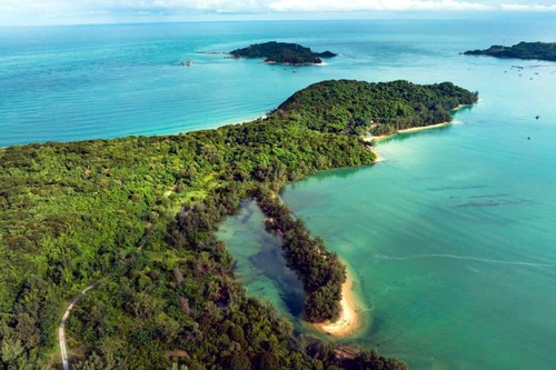 リスナーと共におしゃべりタイム （3月13日） - ảnh 4