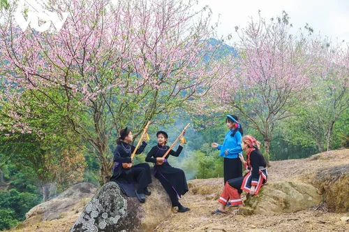 リスナーと共におしゃべりタイム （3月20日） - ảnh 4