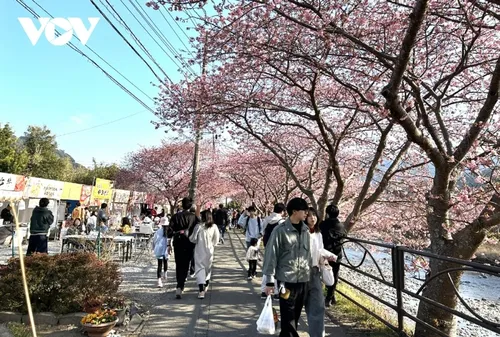 リスナーと共におしゃべりタイム （4月17日） - ảnh 1