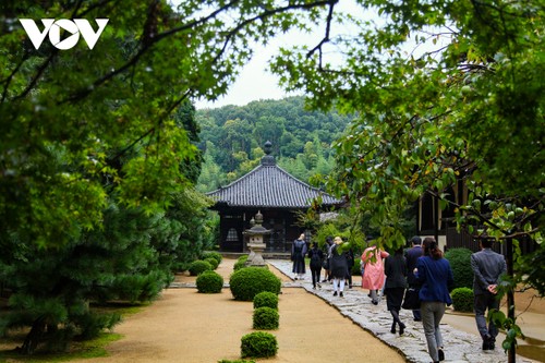 リスナーと共におしゃべりタイム （6月26日） - ảnh 1