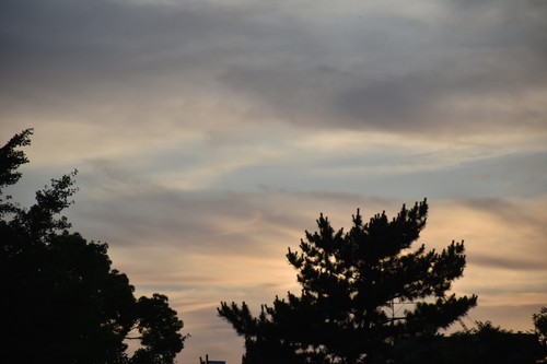 リスナーと共におしゃべりタイム （7月17日） - ảnh 2