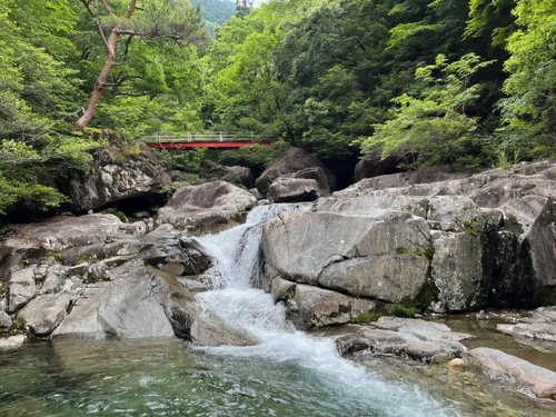 リスナーと共におしゃべりタイム （8月21日） - ảnh 4