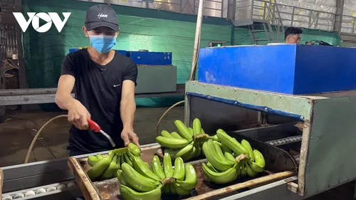 リスナーと共におしゃべりタイム （8月28日） - ảnh 2