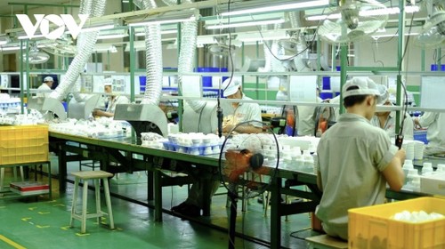 ベトナムと日韓企業が共に挑む関税障壁の克服 - ảnh 1