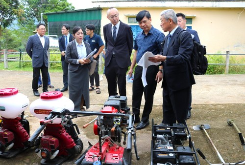 JICA、ゲアン省ナゴイ村で讃岐ニンニク支援 還流人材が技術移転 - ảnh 1