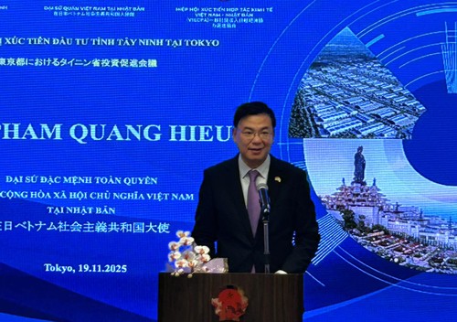 テイニン省、日本からの投資誘致を強化 - ảnh 1