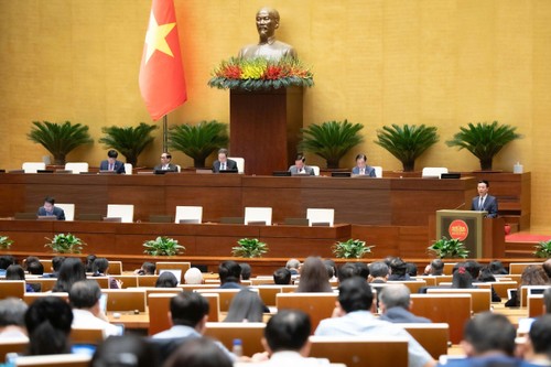 国会、重要な法律と決議を可決 - ảnh 1