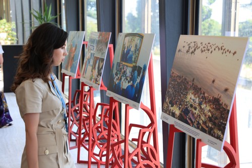 スイスでベトナム紹介写真展 開かれる - ảnh 1