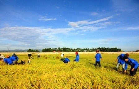 阮春福出席2012年夏季志愿者活动出征仪式 - ảnh 1