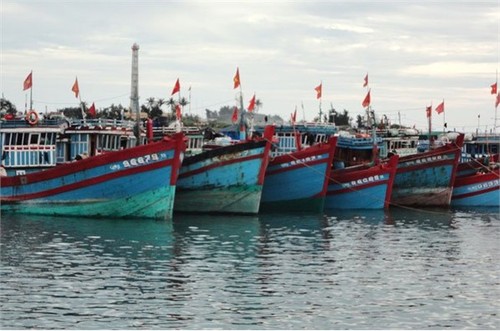 广治省打造黄沙渔场远海捕捞船队 - ảnh 1