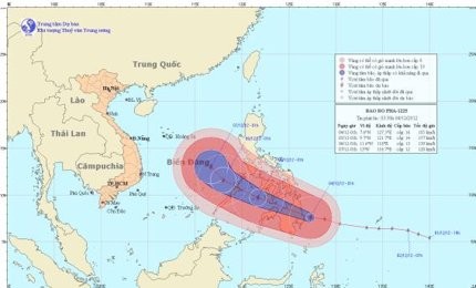 越南积极应对台风“宝霞” - ảnh 1