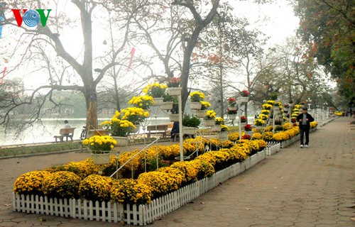 河内花团锦簇迎新年  - ảnh 10