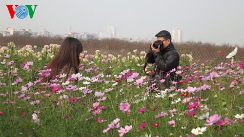 河内市的春节花市 - ảnh 1